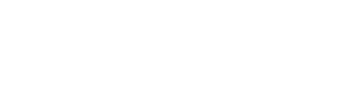 Intelligentia